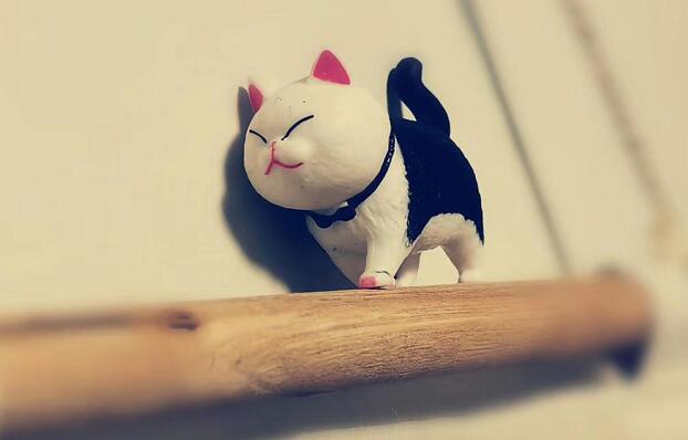 特朗普稱美國將分區域解封