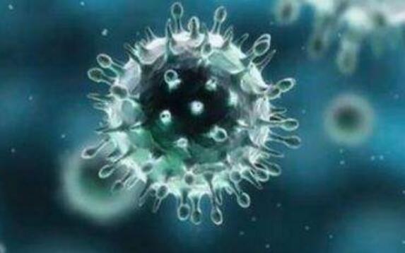 特朗普描述紐約醫院慘狀