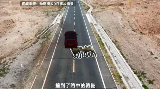 于月仙車禍事故司機負全責