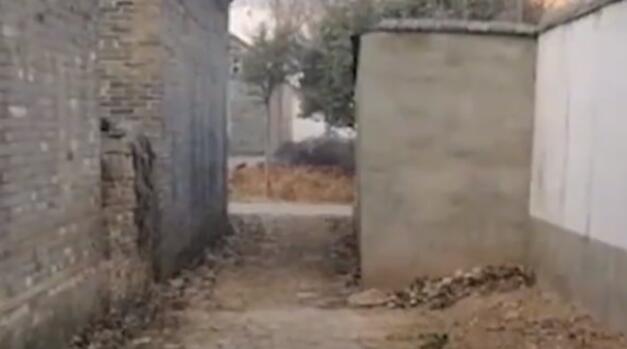 男子3年后回家發現巷口被鄰居占一半