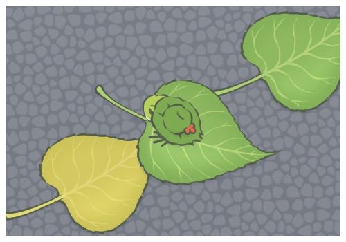 網友稱吃火鍋遇劇毒藍環章魚