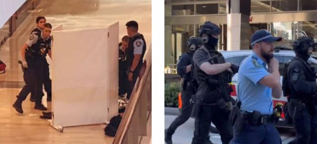 悉尼突發大規模行兇事件