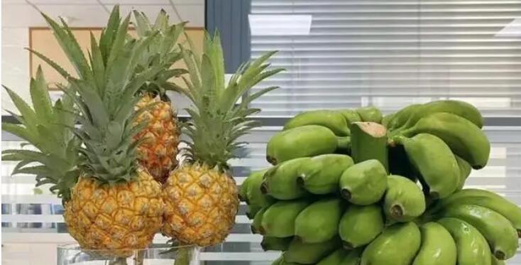 被打工人捧紅的蘋果蕉