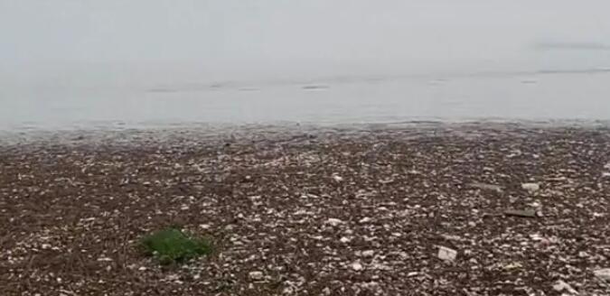鄱陽湖湖面被垃圾填滿