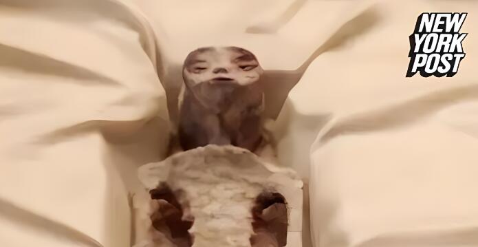 墨西哥國會揭曉外星人化石