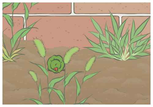 蜂花呼吁多關注其他國貨品牌